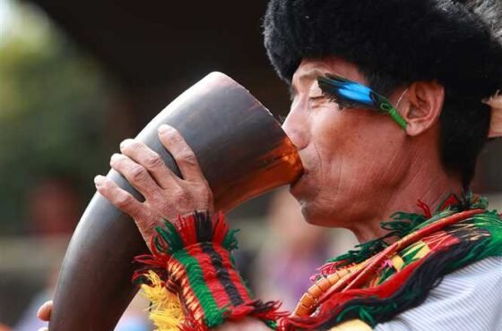 Hornbill Festival with Kaziranga National Park