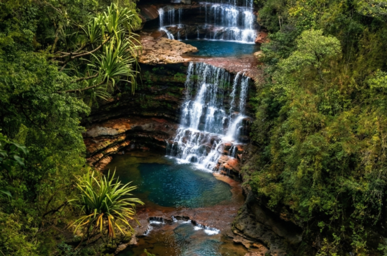 9 days meghalaya arunachal tours with kaziranga